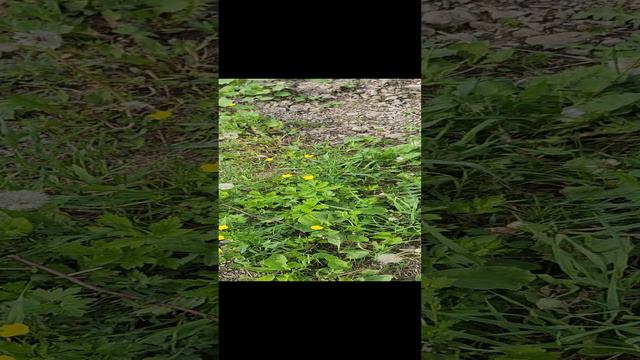 1000372654.mp4