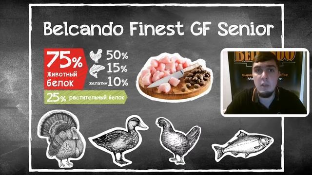 Сухой беззерновой корм для собак Belcando Finest GF Senior