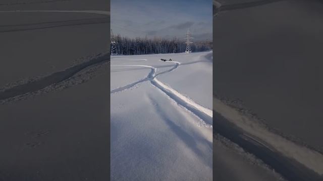 Мотобуксеровщик СТЕМ север 15