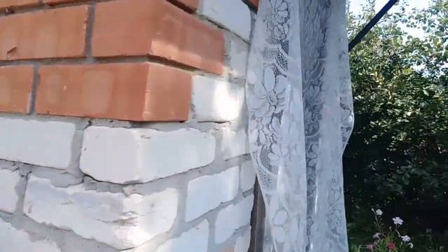 Замазываем трещины/Чистим палас/Кушаем арбуз/Курица на ужин