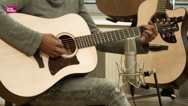 Ibanez Advanced Acoustic AAD100  Bax Music