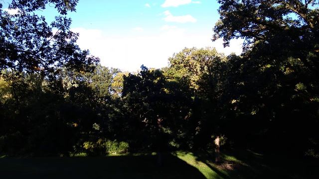 Seven - Taylor Swift (An Ocarina Cover on the Hillside, Tabs in Description)