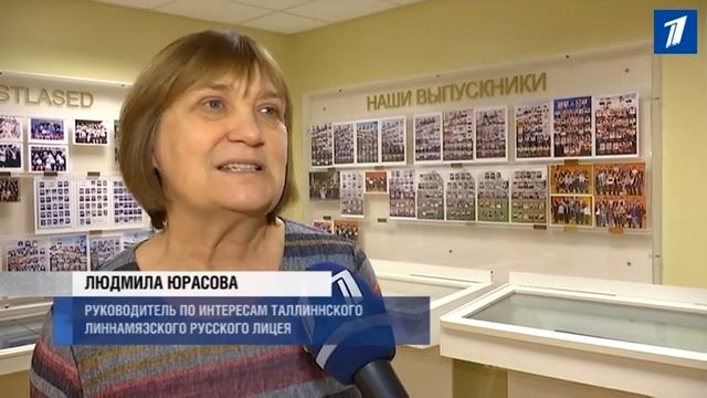 Видео: Молодёжный совет и управа Ласнамяэ проводят компанию по сбору корма для бездомных животных