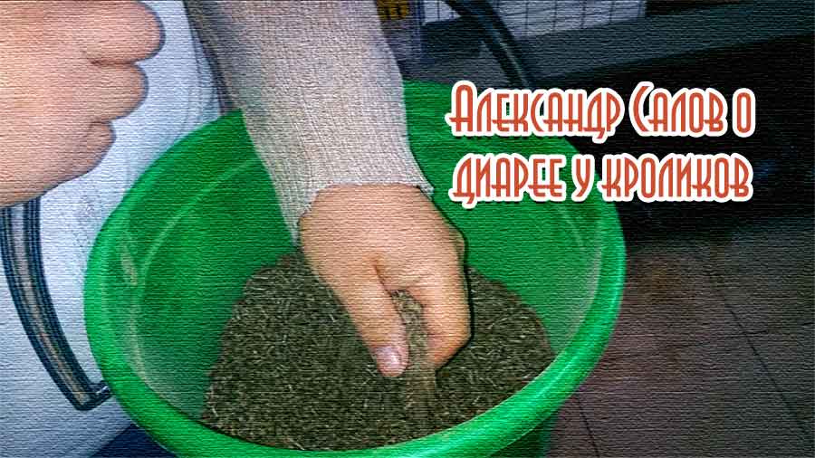 Известный кроликовод Александр Салов о диарее у кроликов