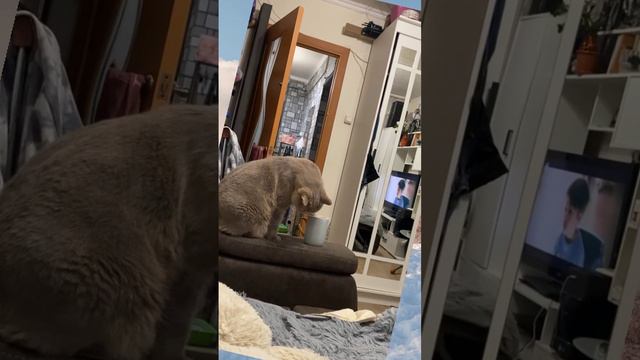 Video.Guru_20240319_235031753.mp4