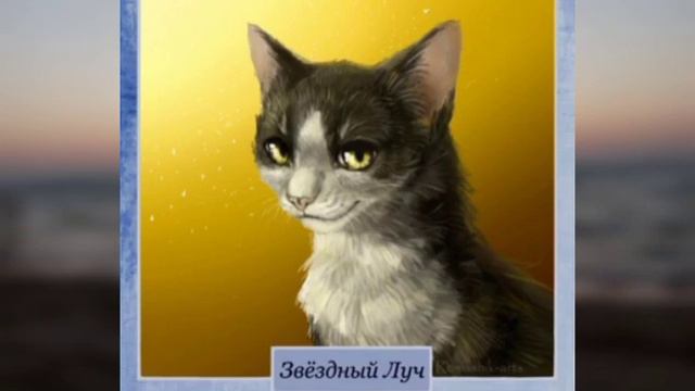 Коти Вояки: території та ієрархія Кланів
