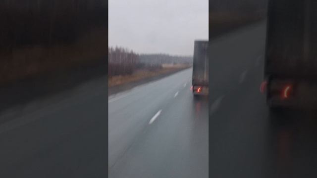 1699548364787.mp4