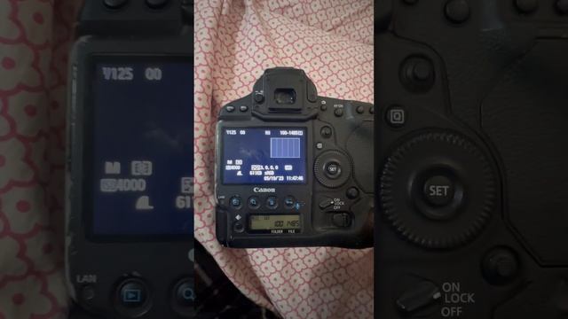 Is The Canon 1DX Worth Buying In 2023