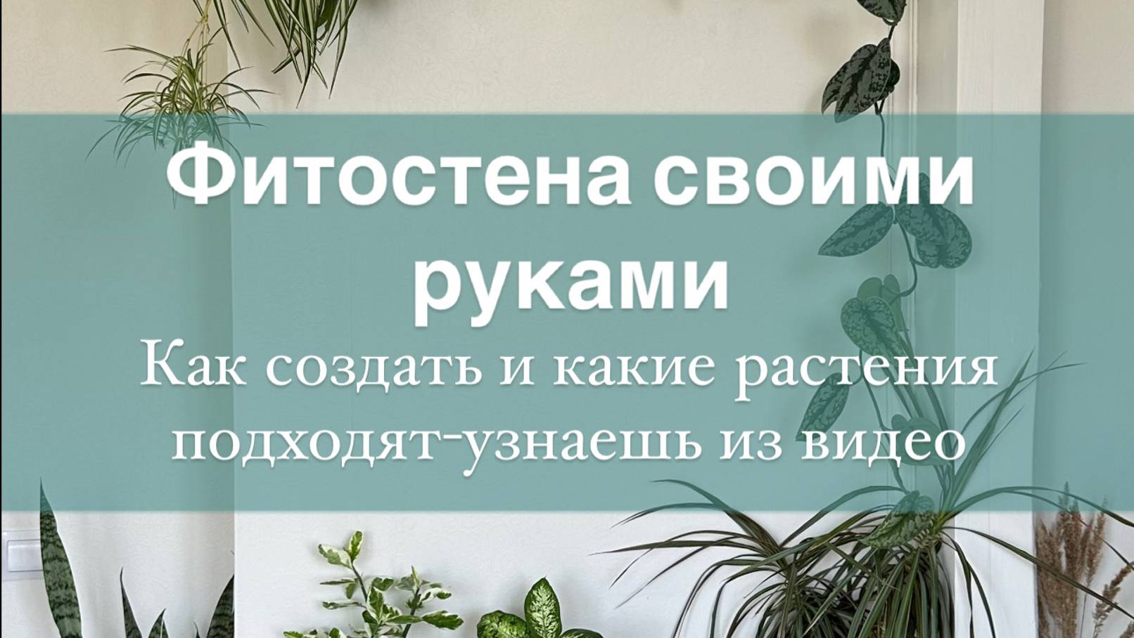 А вы знали что дома можно создать целую стену из цветов? Подробности в этом видео.