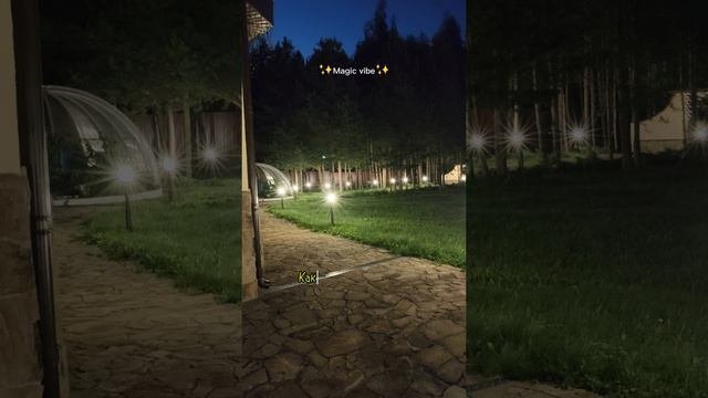 Ночная дача