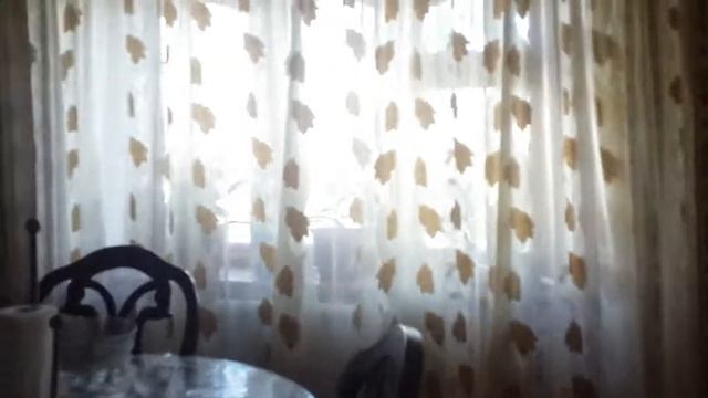 Бабушкин дом и дедушкин дом