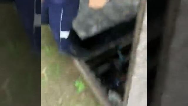 Люк ДК ревизионный садовый