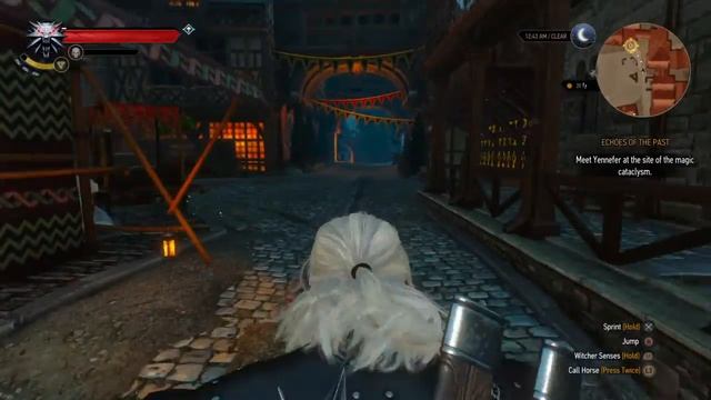 The Witcher 3 Camera Glitch