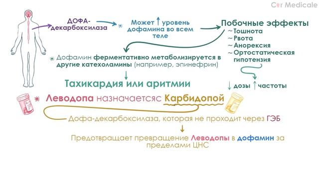 Противопаркинсонические препараты - виды, механизм действия, побочные эффекты