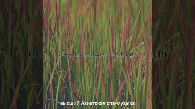Впечатление (Спа Массаж)