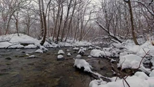 Шум лесной реки для отдыха, сна, медитации.