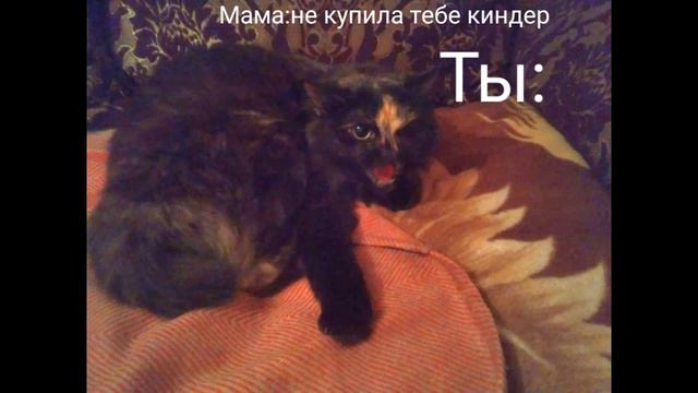 Киндер