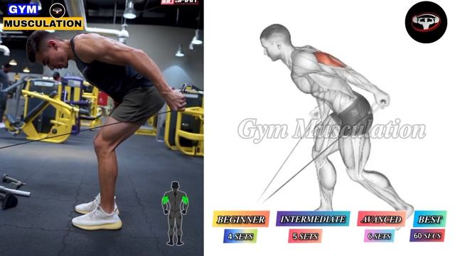 6 Best Exercises For Build A Bigger Tricep