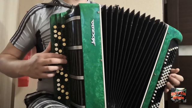 Вологда Песняры на баяне