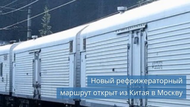 Аркто начал производство фармацевтических шкафов