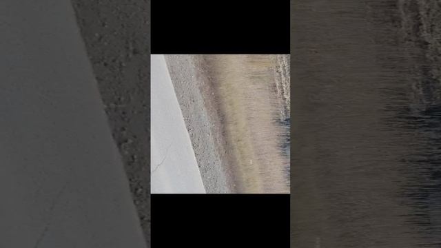 VID_20221002_162546.mp4