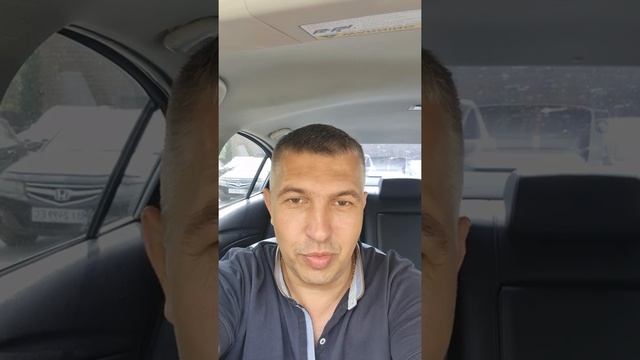 Коллаборанты и IQ. Типичный портрет.