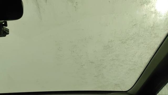 ВЛОГ: Кот встречает хозяев Аттракцион для автомобилистов
