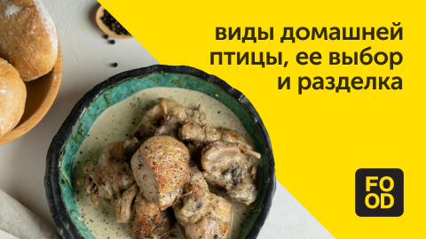 Виды домашней птицы, ее выбор и разделка | Готовим с Food.ru