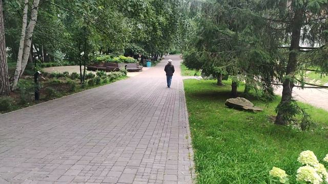 Парк-отель , Еловое.