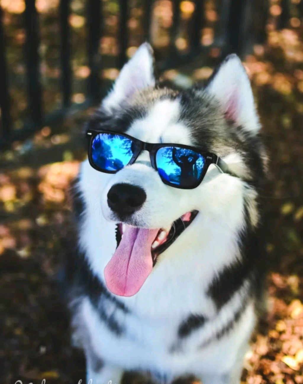 обо мне