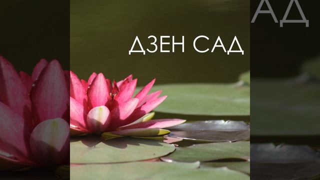 Фоновая музыка