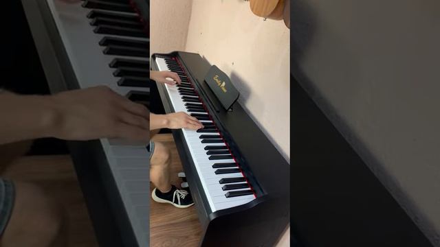 Звучание Цифровое фортепиано EMILY PIANO D-51 BK