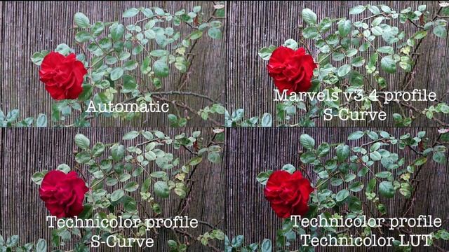 Canon Powershot G7X Mark II color grading with flat profiles, Marvels and Cinestyle