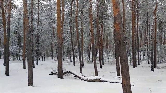 У нас сегодня ВОЛШЕБНАЯ  ПОГОДА....просто СКАЗКА МОРОЗКО