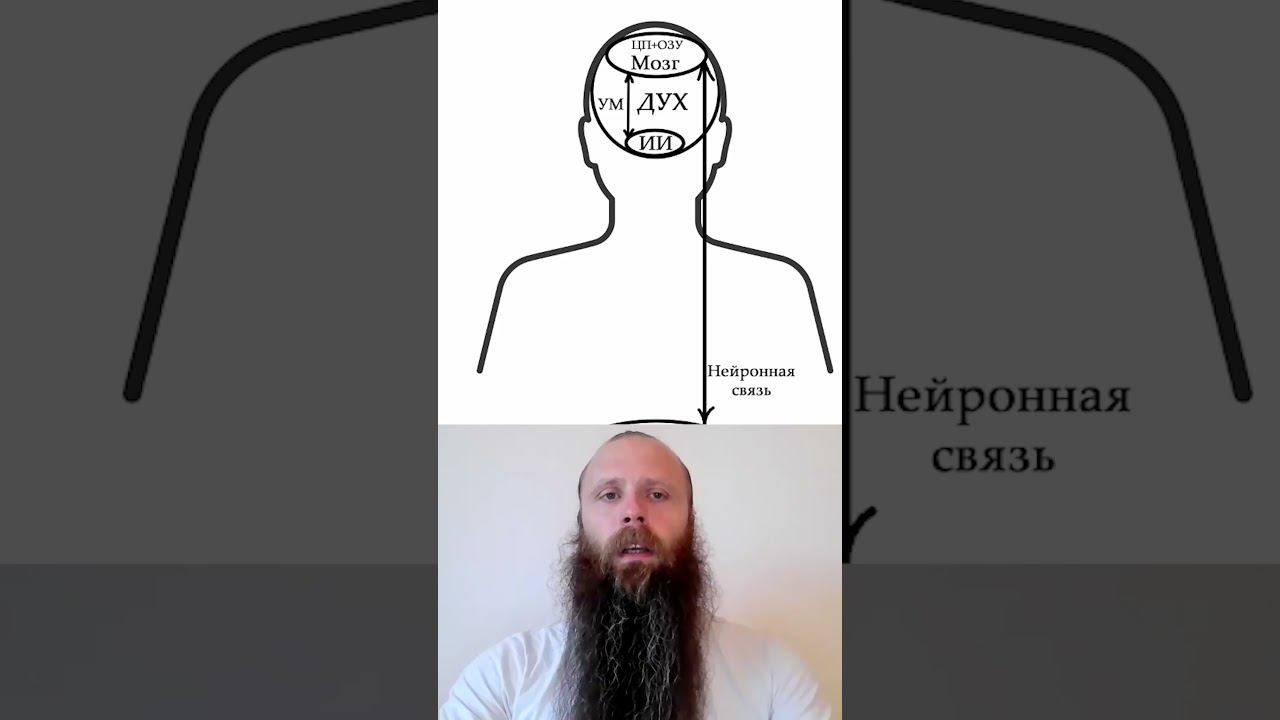 Душа и Дух при чём тут Илон Маск? #shorts  #elonmusk