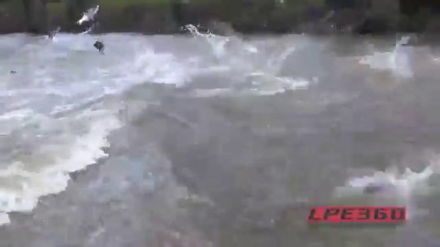 Как поймать рыбу без удочки