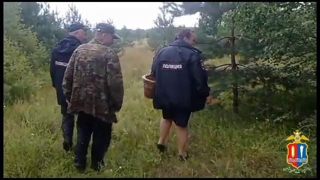 В Пестяковском районе полицейские искали в лесу 10-летнего мальчика