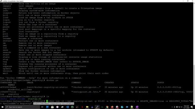 Docker: Registry UI