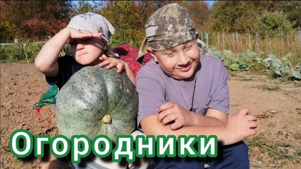 Собираем урожай Огромные АРБУЗЫ 😅 VLOG Семейный канал.