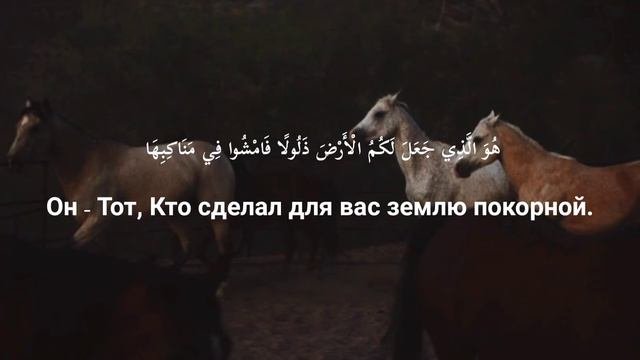 Красивое чтение суры Аль-Мульк чтец:Мансур Ас-Салими   коран красивоечтение сунна ислам