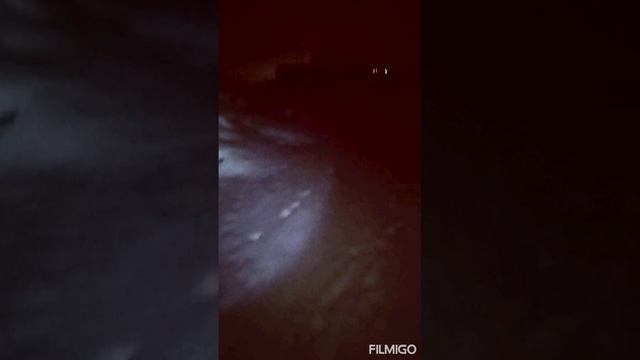 захватывающая прогулка до мурашек