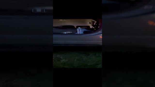 Ночные тестировщики.