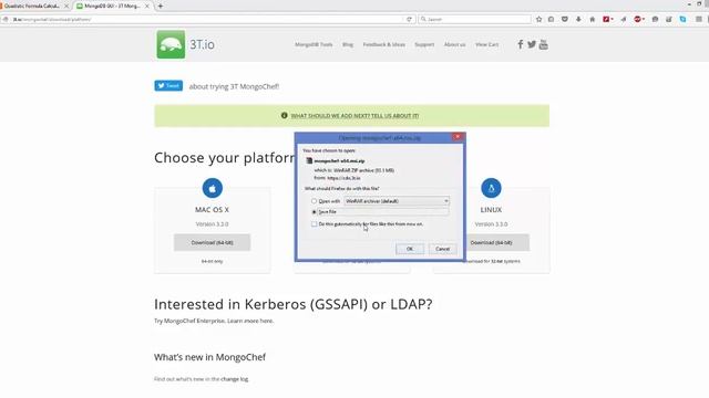 002 Set Environment Variables and Install MongoDB GUI Tool