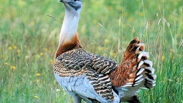 85 - летие Ростовской области