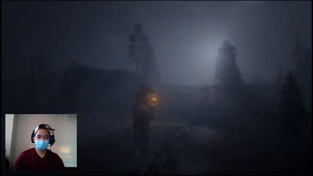 Red Dead Redeption 2 Obs + Remote Play Audio Test