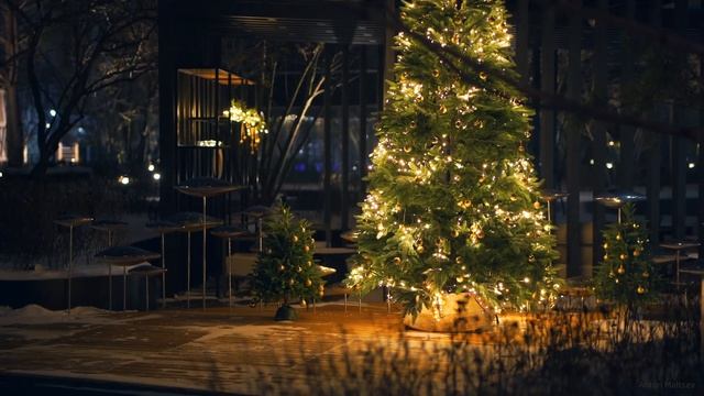 Тюмень 2023. Новогодний город. Тюменский Арбат. Winter Night