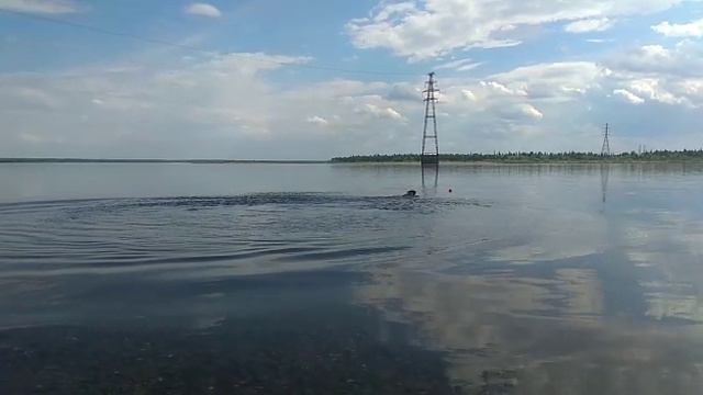 Бросок Будды!!!☠️