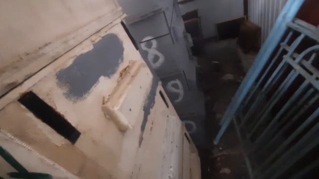 Атака мышей на сотохранилище! Что делать?