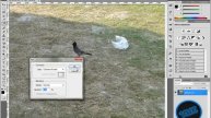 Content Aware Fill - Adobe Photoshop CS5 Extended