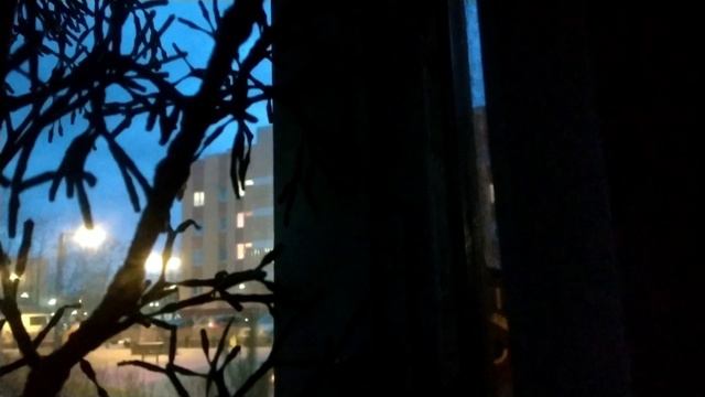 высокие деревья как в детстве)